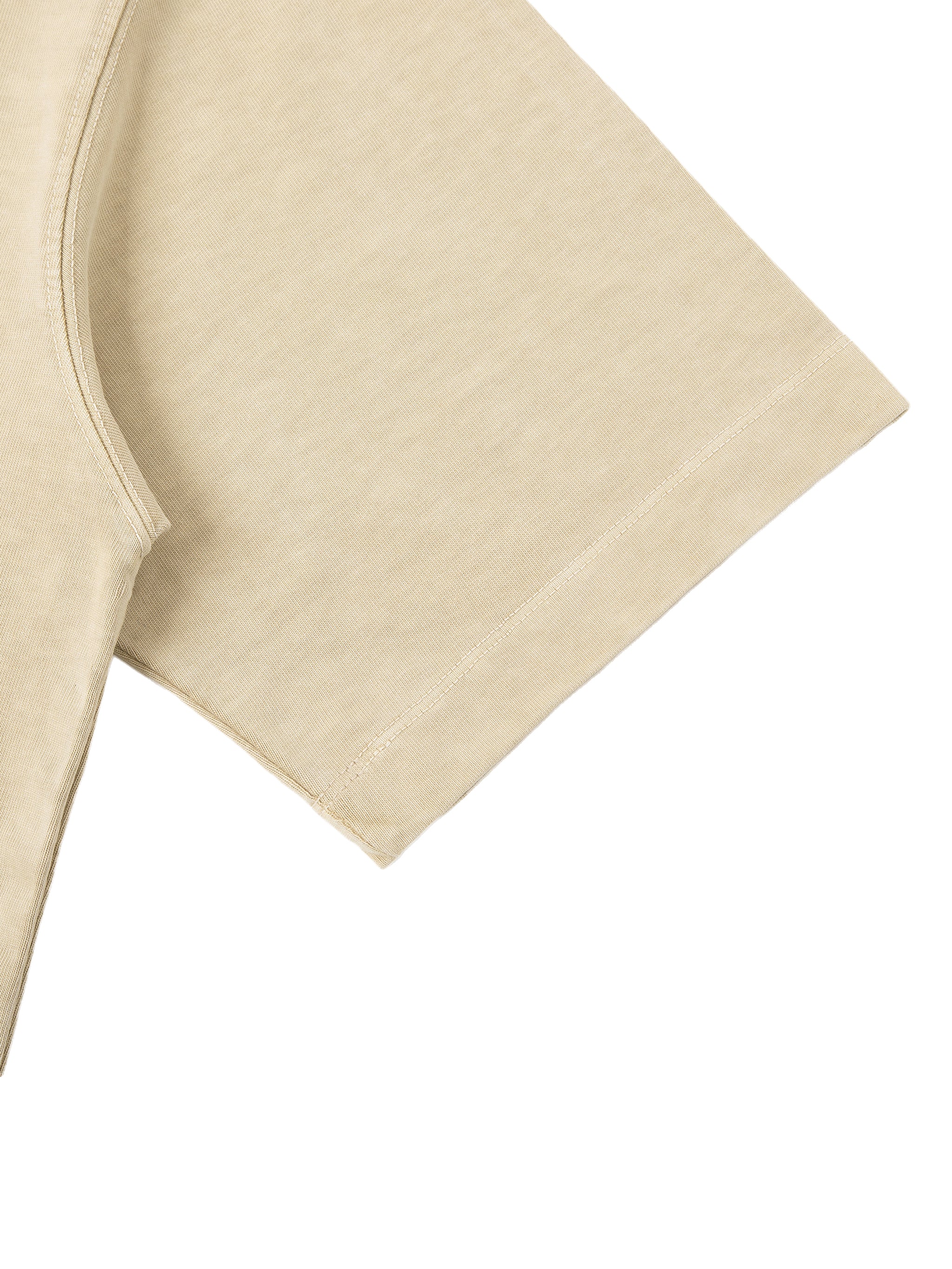 I SPEAK SARCASM FLUENTLY VINTAGE WASH